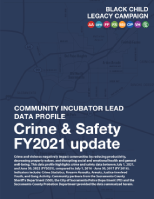 Crime & Safety FY2021 update cover image