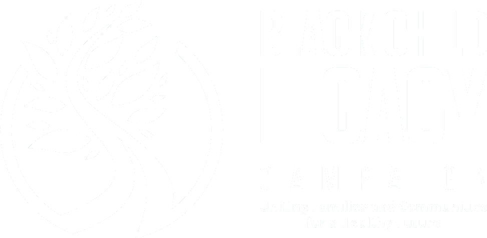 Pictured: Black Child Legacy Campaign logo